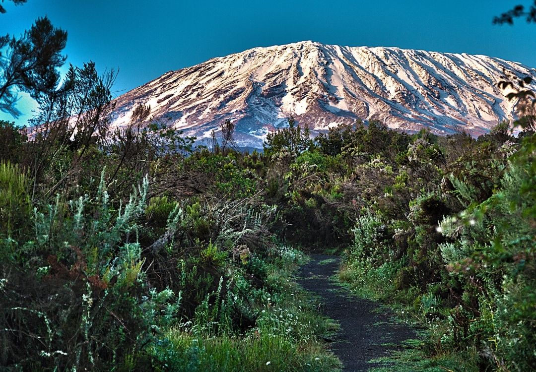 Climbing Mount Kilimanjaro gold tourism tanzania