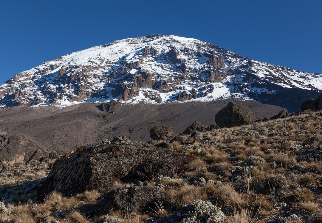Marangu Route – 6 Days Kilimanjaro Climb gold tourism tanzania(10)
