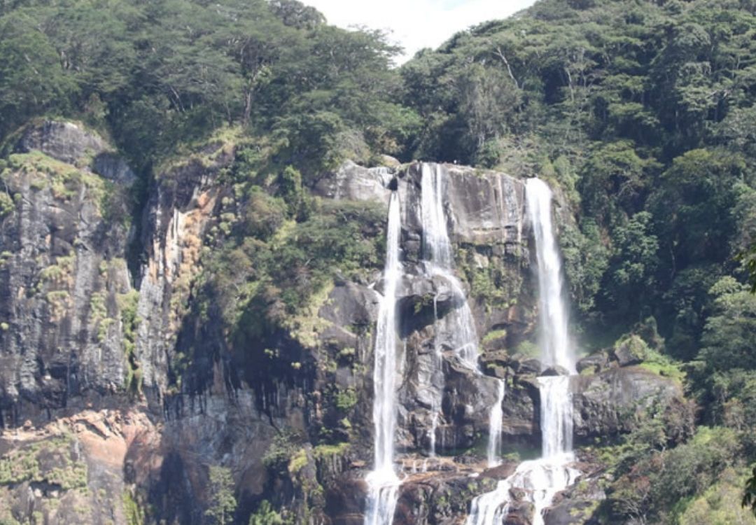 6-Day Southern Circuit Safari gold tourism tanzania(16)