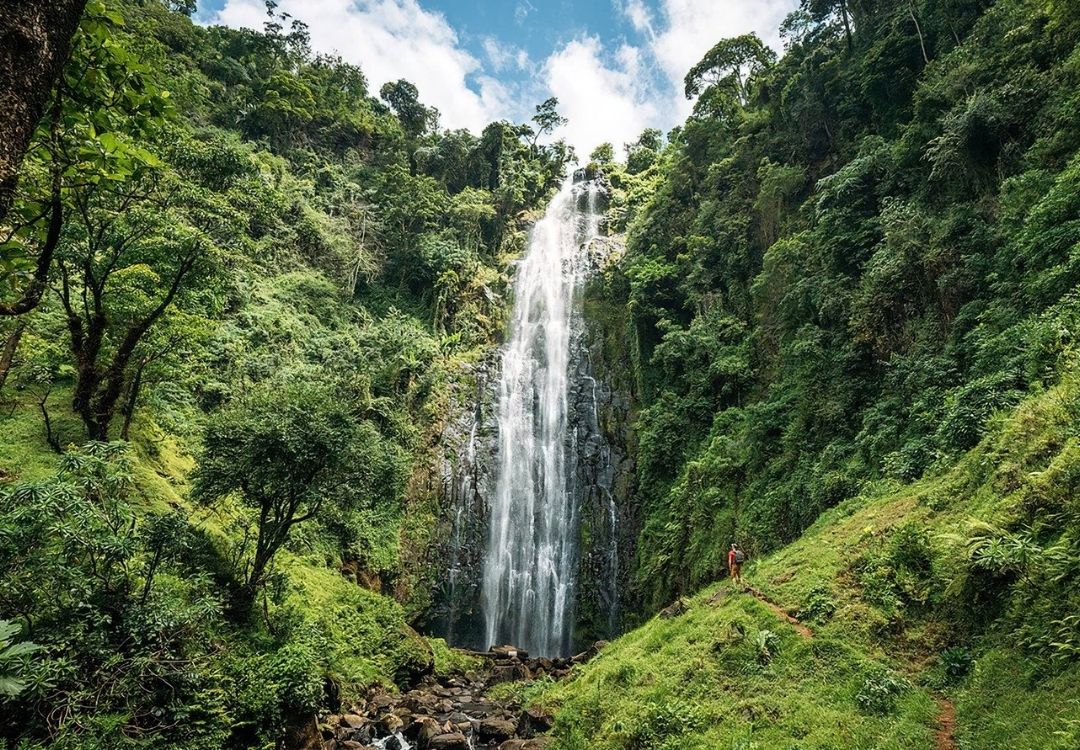 Materuni Waterfall and Coffee Tour gold tourism tanzania(17)