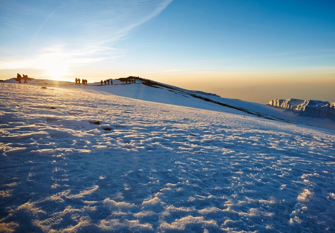 Climbing Mount Kilimanjaro gold tourism tanzania(20)