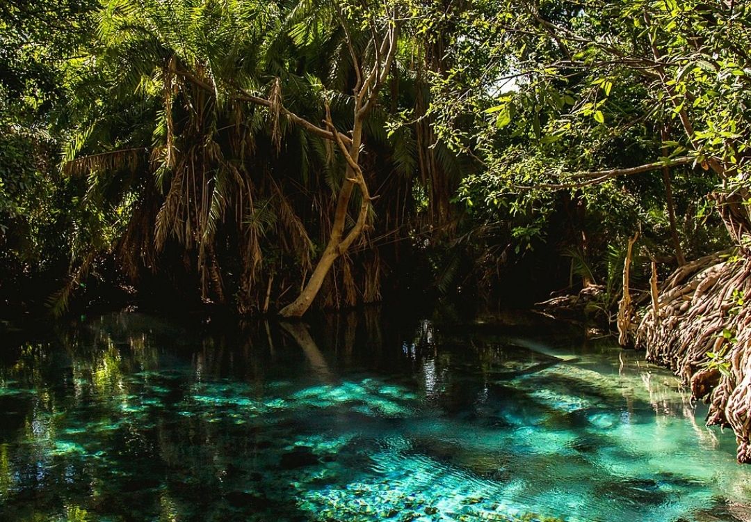 Kikuletwa Hot Springs Day Trip gold tourism tanzania(21)