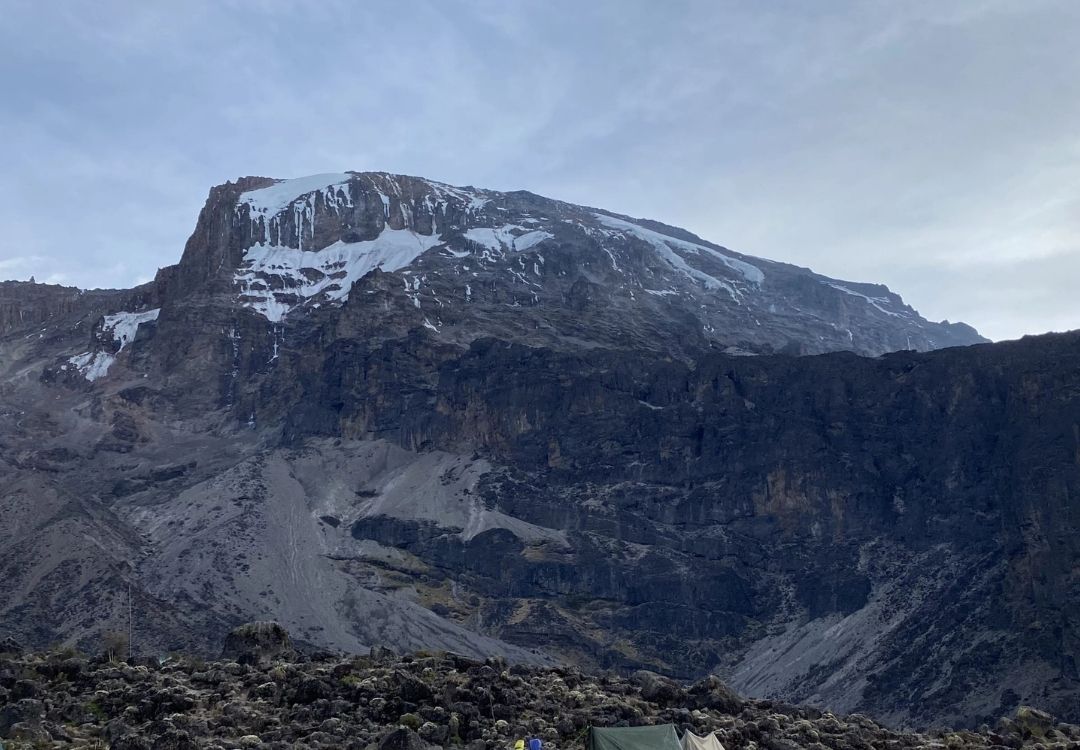 Lemosho Route – 8 Days Kilimanjaro Climb gold tourism tanzania(4)