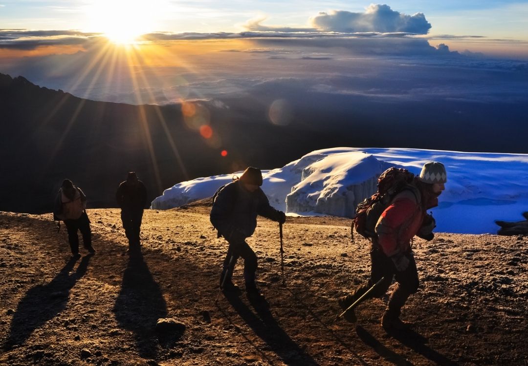 Machame Route – 7 Days Kilimanjaro Climb gold tourism tanzania(5)