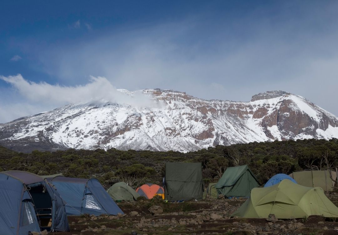 Machame Route – 7 Days Kilimanjaro Climb gold tourism tanzania(6)