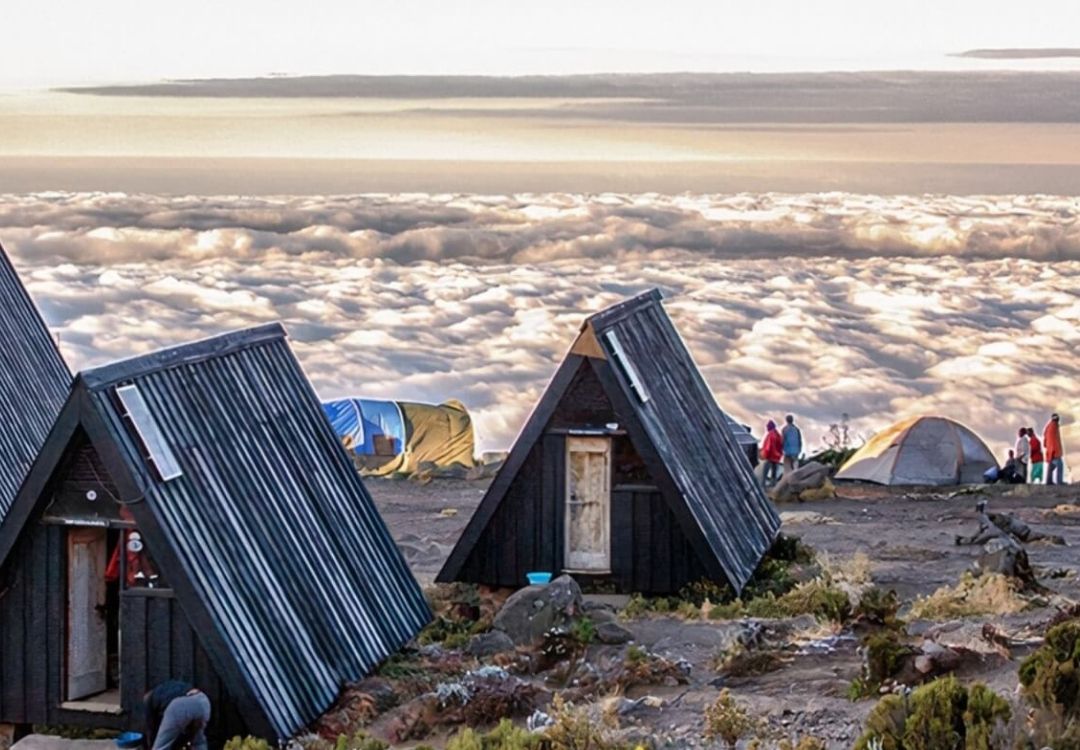 Marangu Route – 6 Days Kilimanjaro Climb gold tourism tanzania(8)